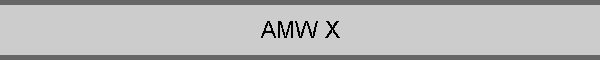 AMW X